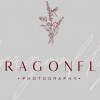 Dragonfly Photography