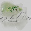Ivy & Moss Photography