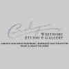 Carolyn Whitmore Studio & Gallery